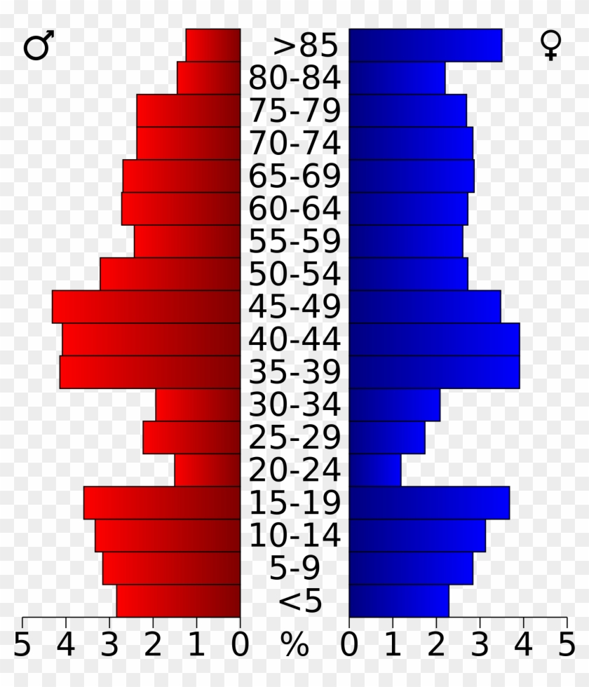 Open - Population Pyramid Of Palm Beach County Clipart