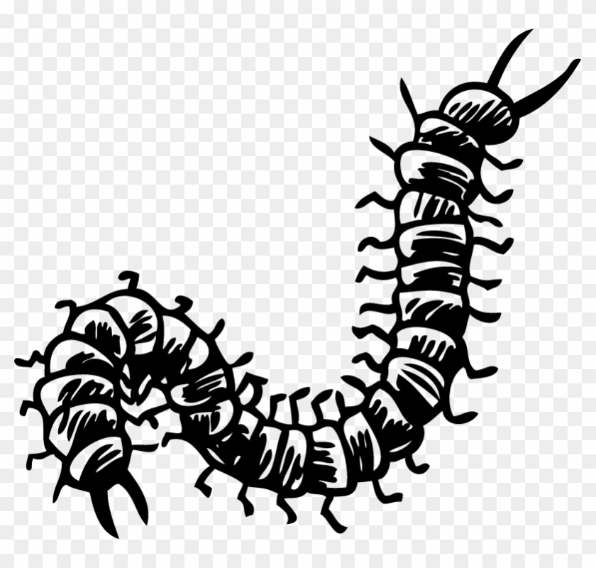 Centipede Living Room Wall Decor Clipart #1615793