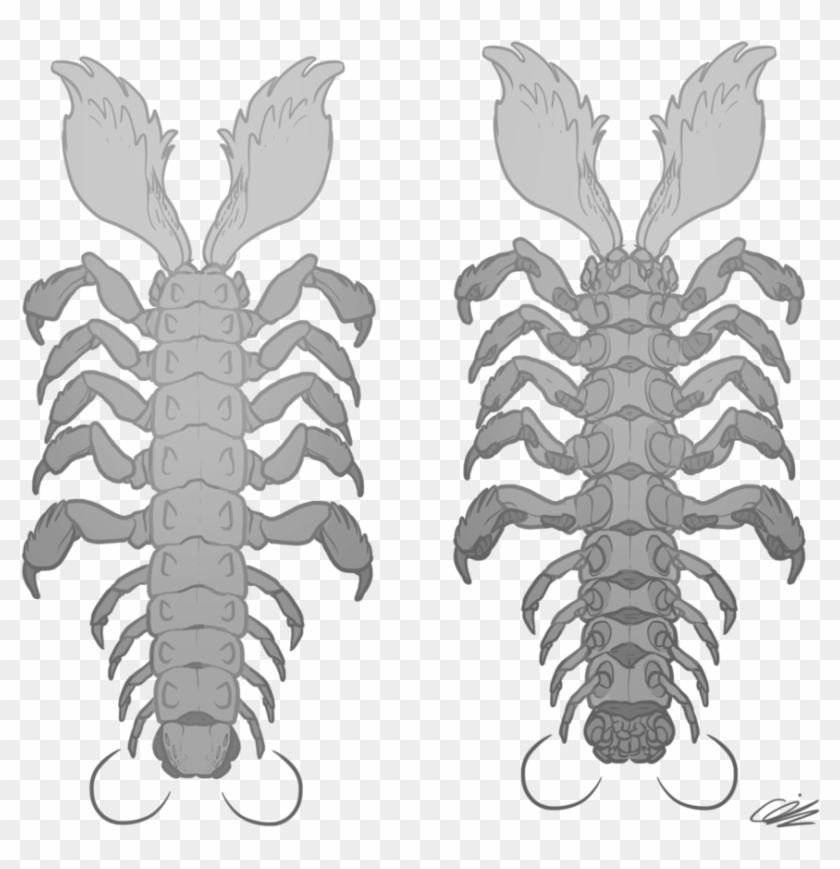 Desert Centipede Top And - American Lobster Clipart