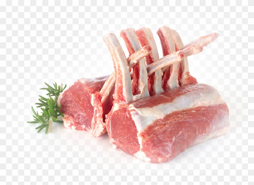 Lamb - Chuleta De Cordero Corte Clipart #1616104