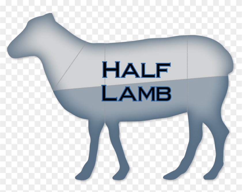 Half-lamb - Horse Clipart #1616128