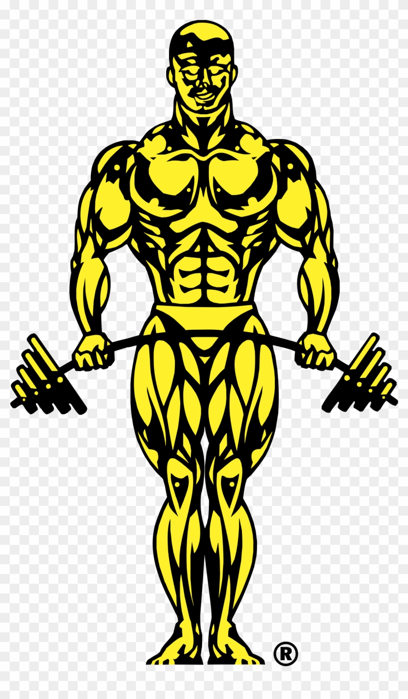 Gold's Gym Logo Png Transparent - Gold Gym Clipart #1618925