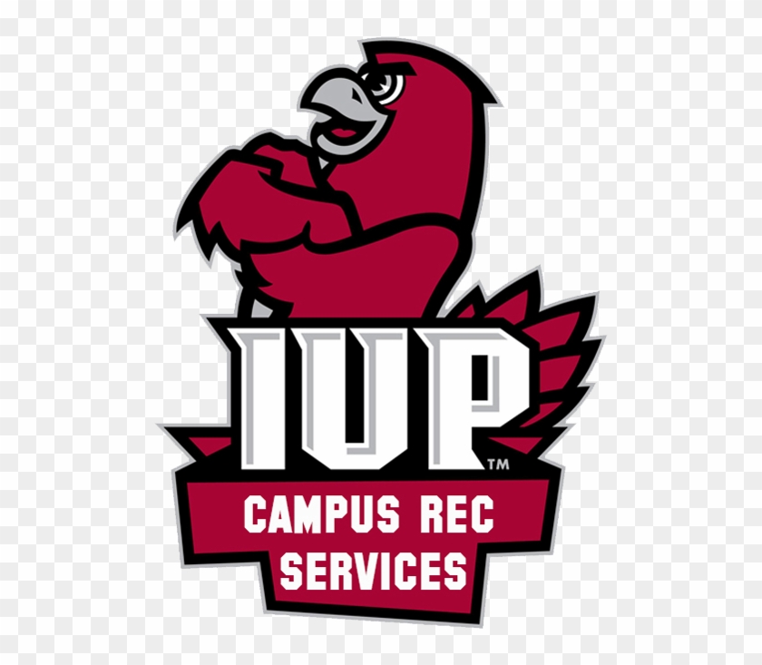 About Campus Rec - Iup Crimson Hawks Logo Clipart #1619173