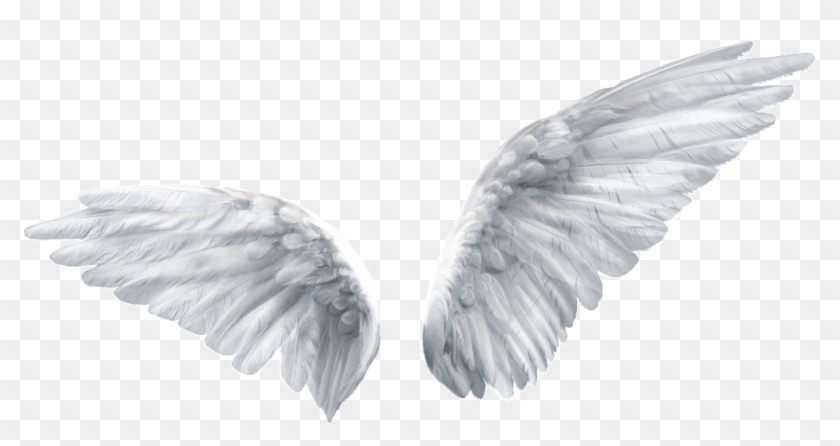 Is This Your First Heart - Ангела Крылья Пнг Clipart