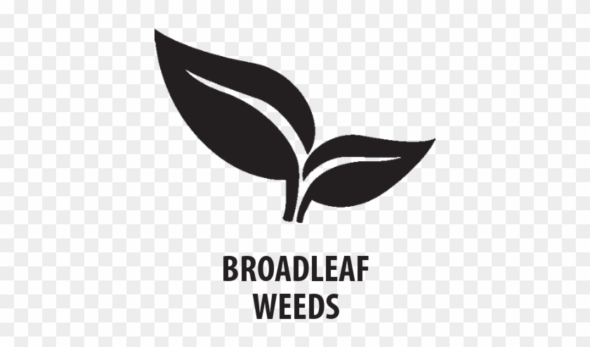 Tzone™ Se Broadleaf Herbicide For Tough Weeds - Graphic Design Clipart #1619577