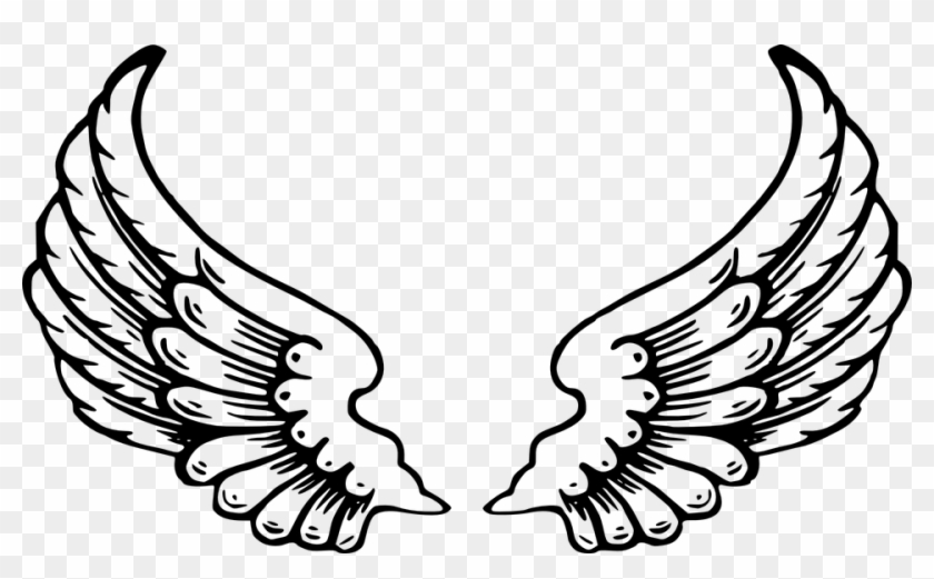 Alas De Ángel, Abierta, Blanco, Plumas, La Paz - Angel Wings Clipart, HD Png Download #1619578