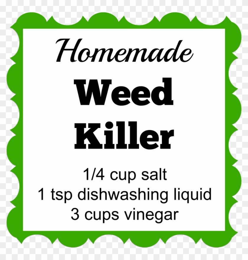Homemade Weed Killer With Amounts - Herbicide Clipart #1619868
