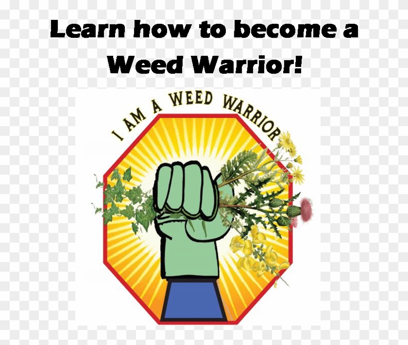 Weed Warrior - Noxious Weeds Logo Clipart #1619924
