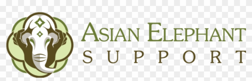 Asian Png Clipart