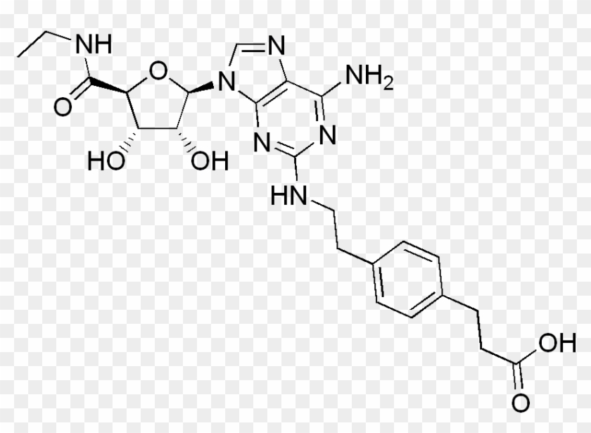 File - Cgs21680 - S Adenosyl Methionine Clipart #1619984