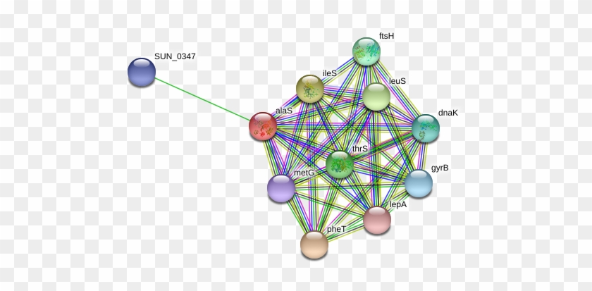 Circle Clipart #1620820