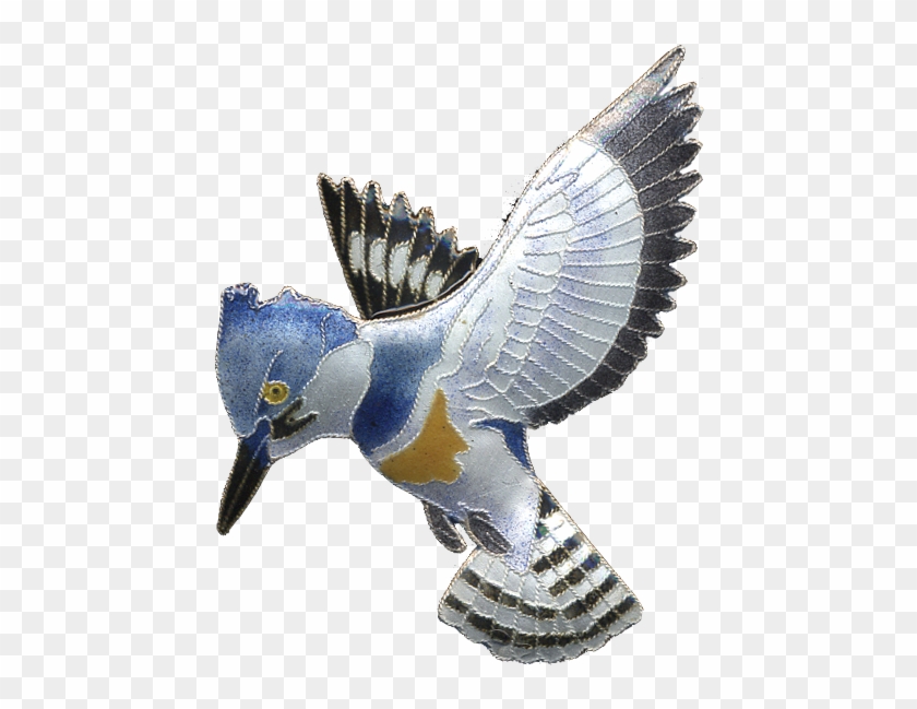 0099pin - Belted Kingfisher Clipart #1622828