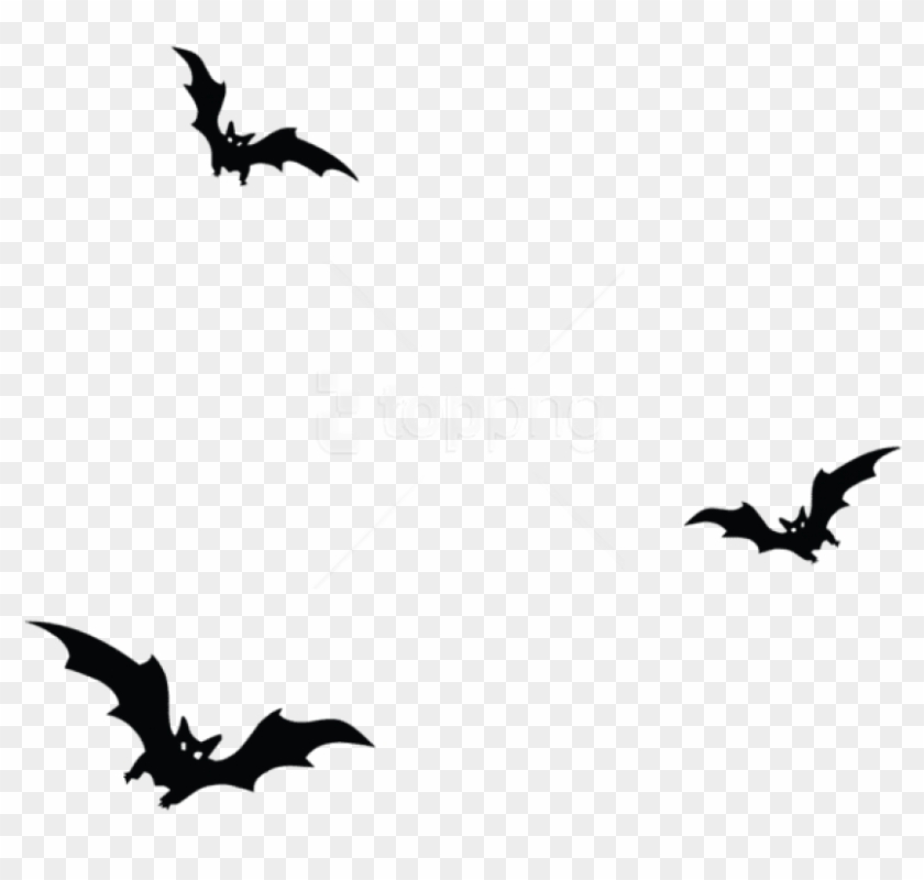 Free Png Download Haunted Bats Png Vector Png Images - Bats Png Clipart