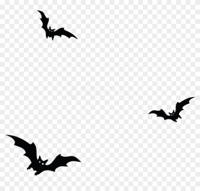 Free Png Download Haunted Bats Png Vector Png Images - Bats Png Clipart #1623199
