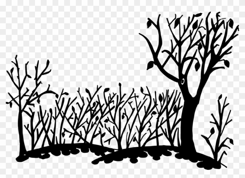 Nature Clipart Transparent Background - Png Download
