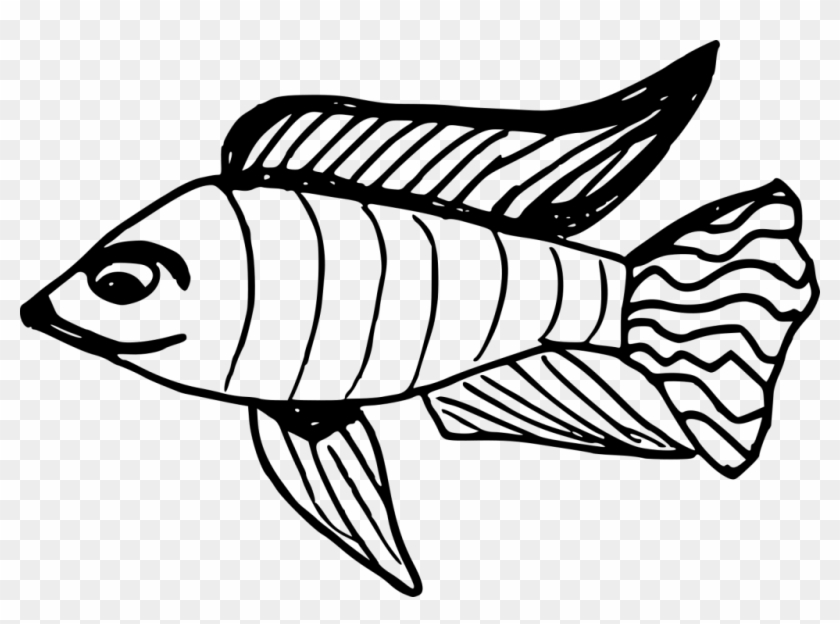 Png File Size - Coral Reef Fish Clipart