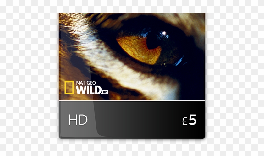 This Website Uses Cookies - Bengal Tiger Clipart #1626794