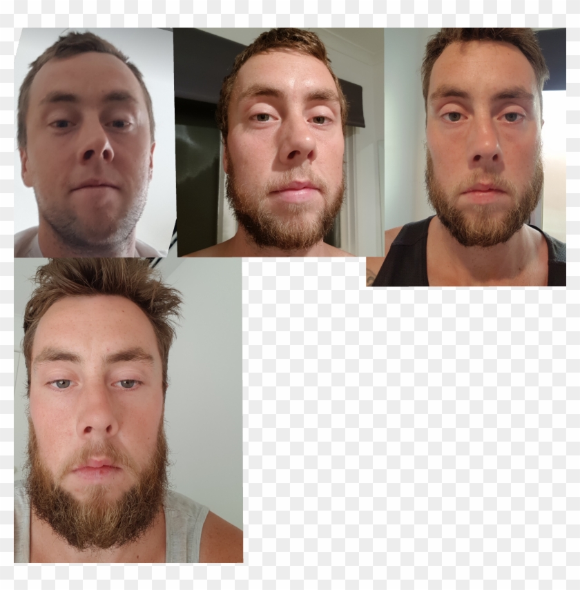 Beard-on Brothers - Collage Clipart