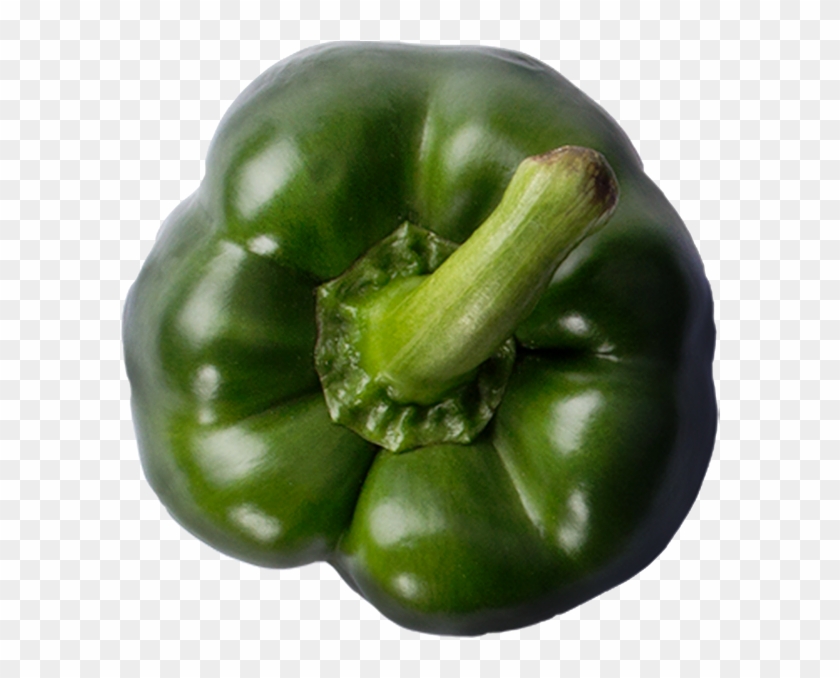 Green Pepper - Green Bell Pepper Clipart