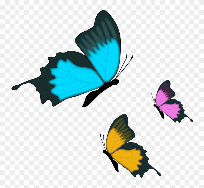Butterfly Insect Nature - Clip Art Farfalle Png Transparent Png