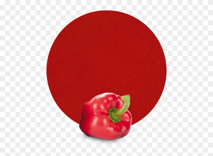 Com/wp Pepper Puree - Red Bell Pepper Clipart #1629655