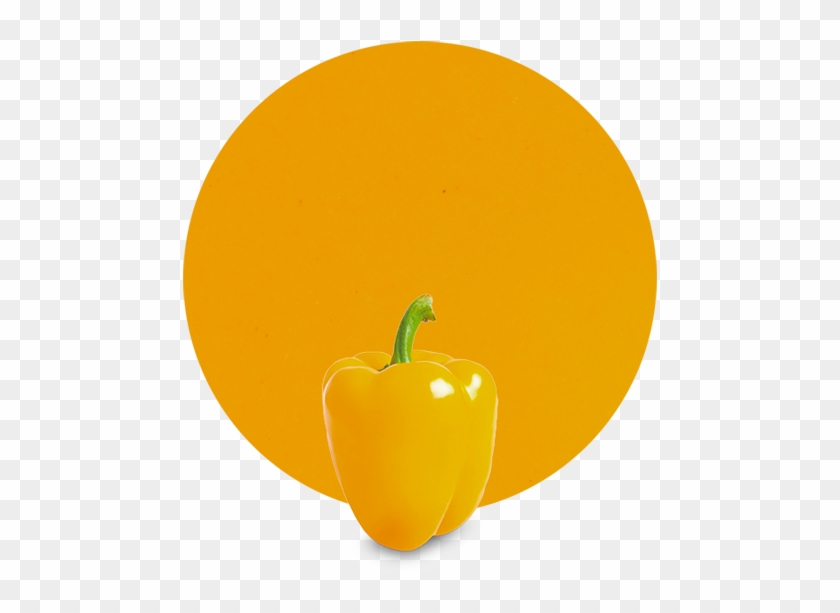 Yellow Pepper Puree - Yellow Pepper Clipart