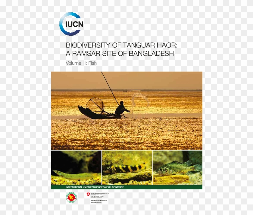 Pdf - Sea Kayak Clipart #1630181