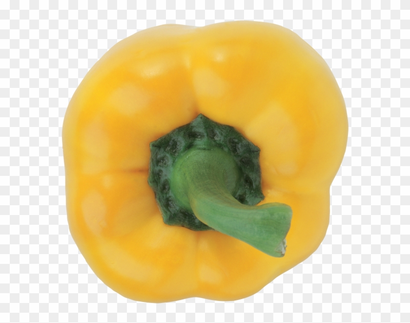 Yellow Pepper - Bell Pepper Clipart #1630213