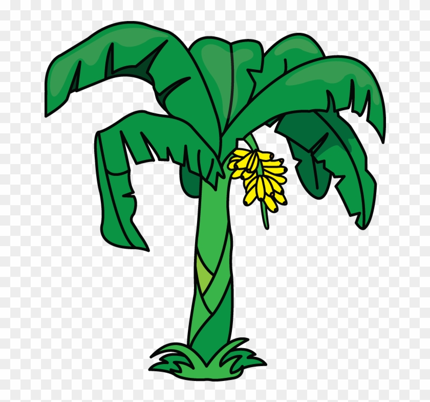 Another Tutorial In Flowers And Plants Category Is - Simple Banana Tree Drawing Clipart #1632854