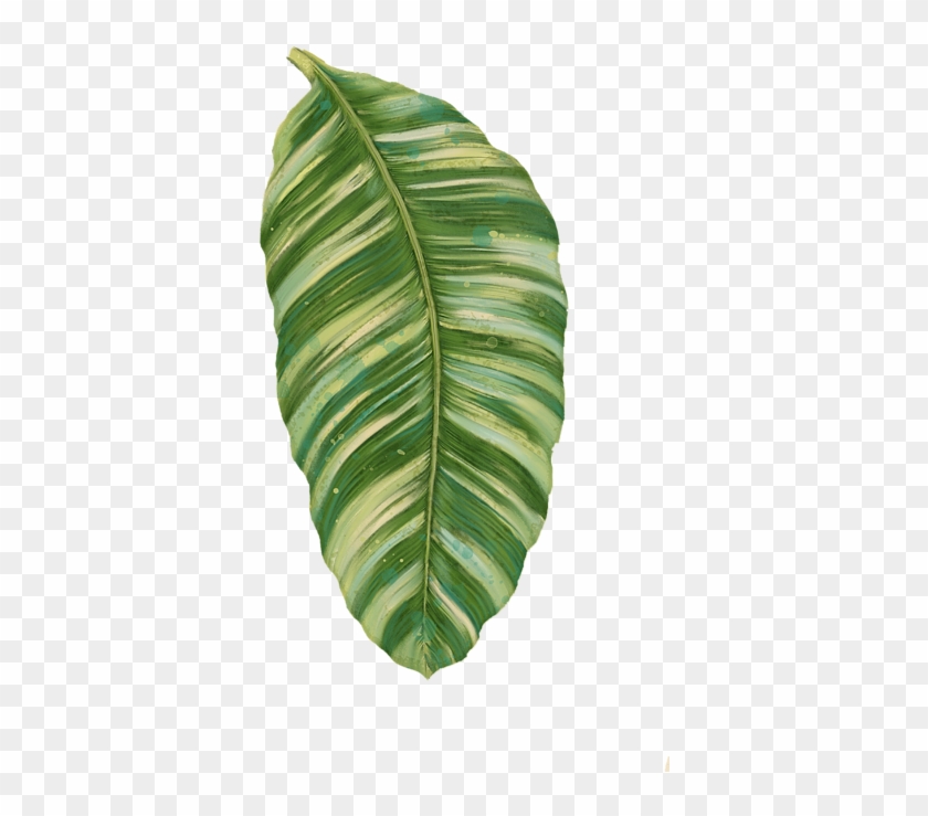 Click And Drag To Re-position The Image, If Desired - Rainforest Resort - Tropical Banana Leaf Clipart