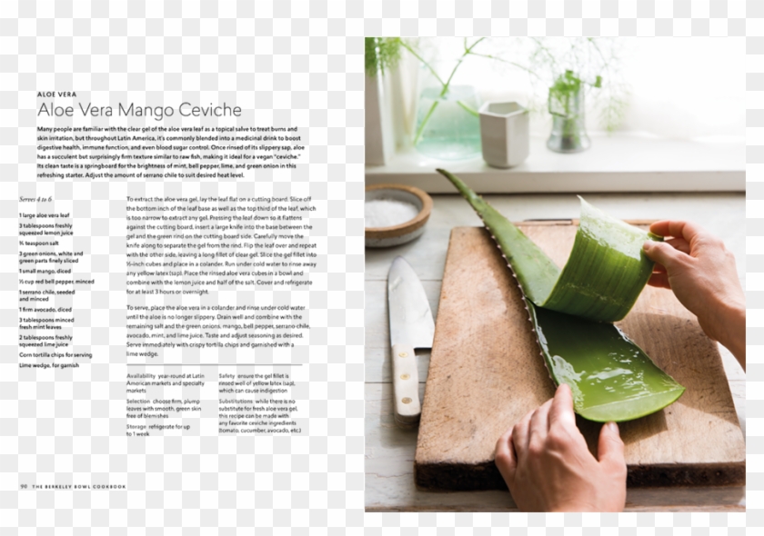 Bbc Interior 5 , Png Download - Zongzi Clipart