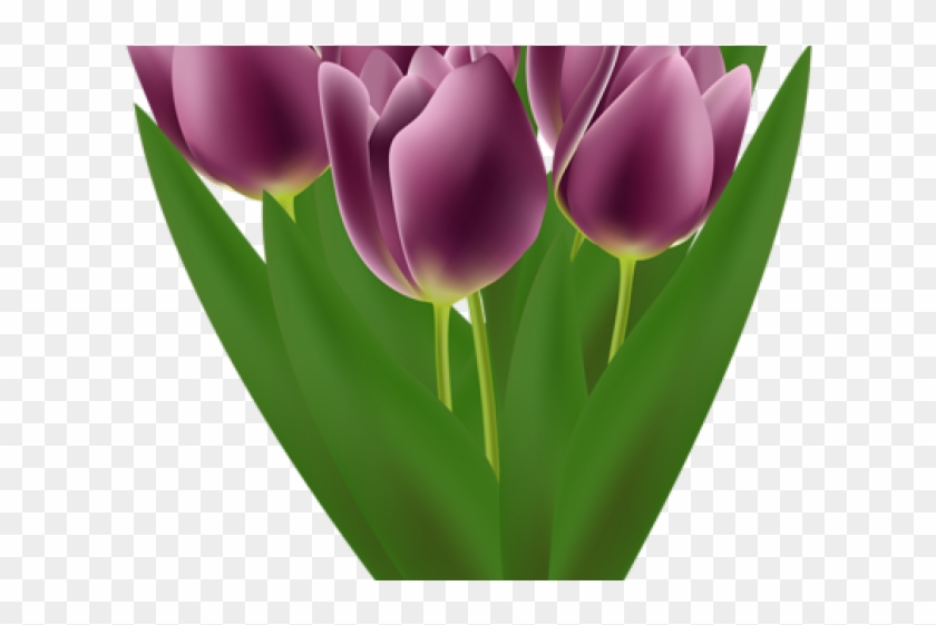 Tulip Clipart Flower Bookey - Clip Art - Png Download