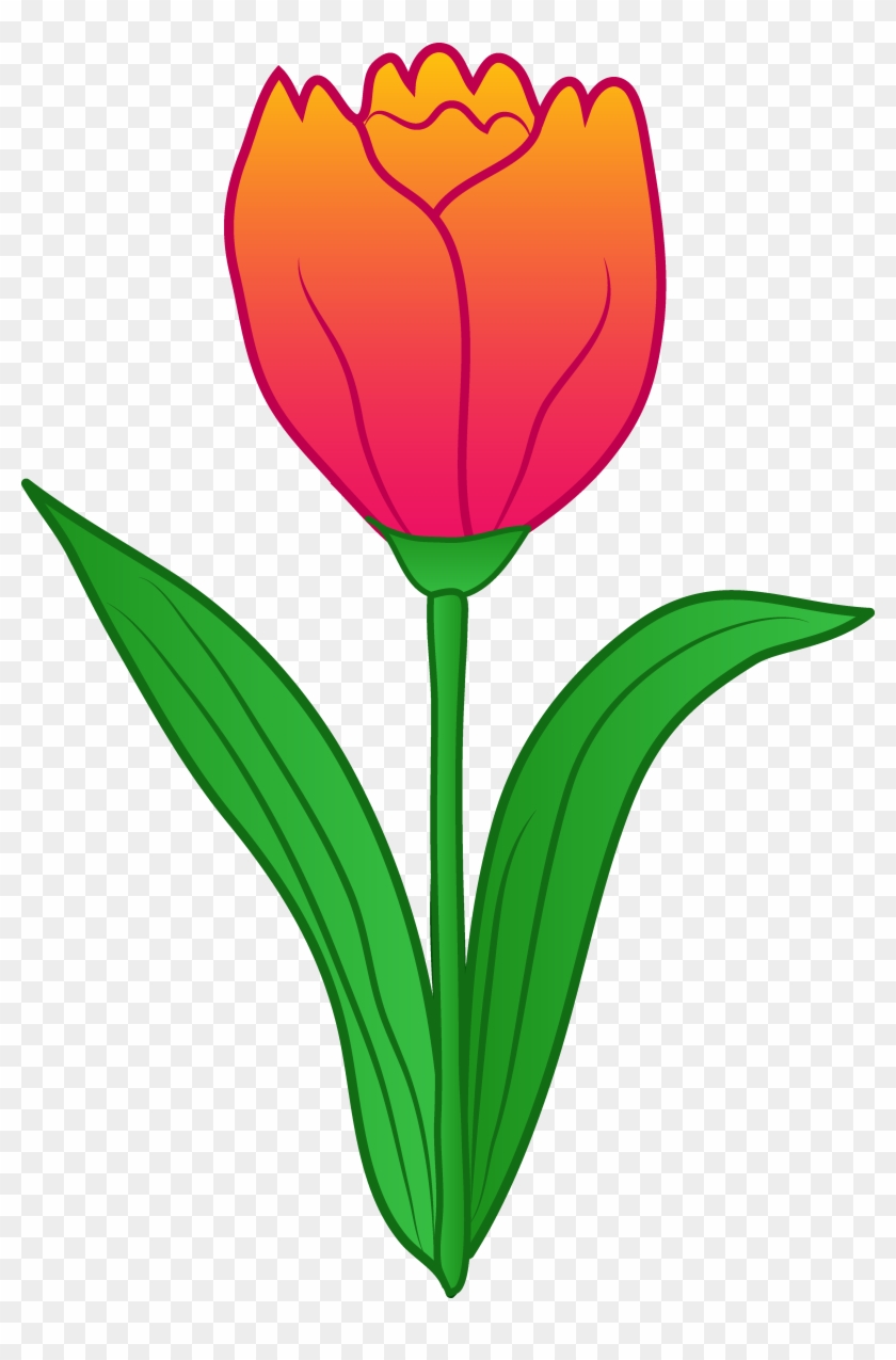Tulip Clipart Spring - Tulips Clipart - Png Download