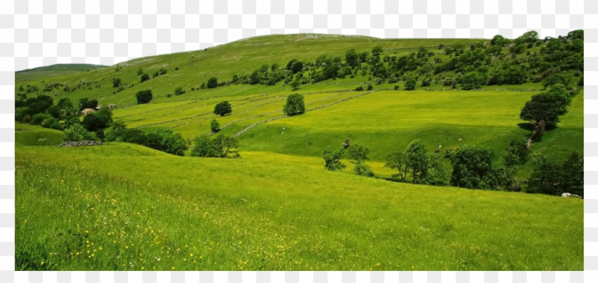 Green Wallpaper, Wallpaper Pc, Scenery Wallpaper, Friends - Vector Thomas And Friends Clipart #1634419