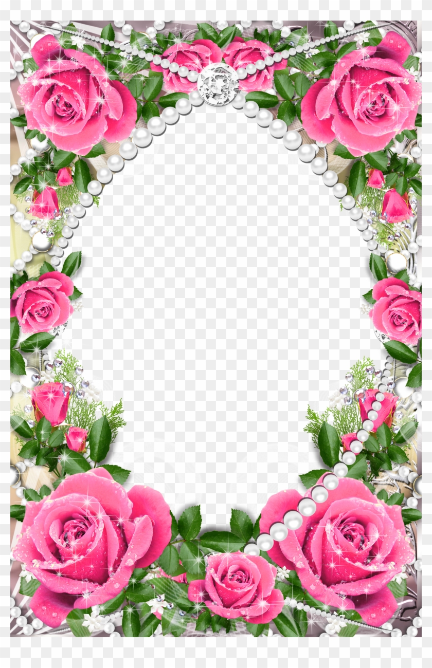 Pink Rose Photo Frame Clipart