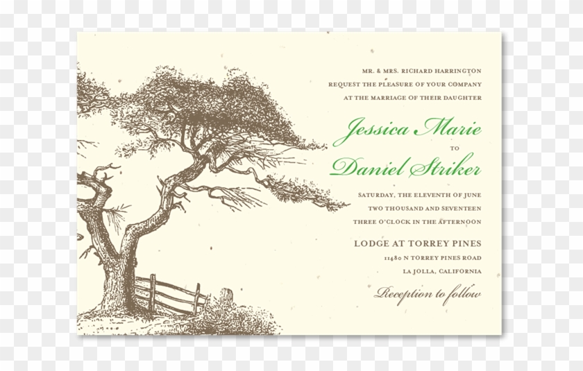 Torrey Pines Wedding Invitations - Illustration Clipart