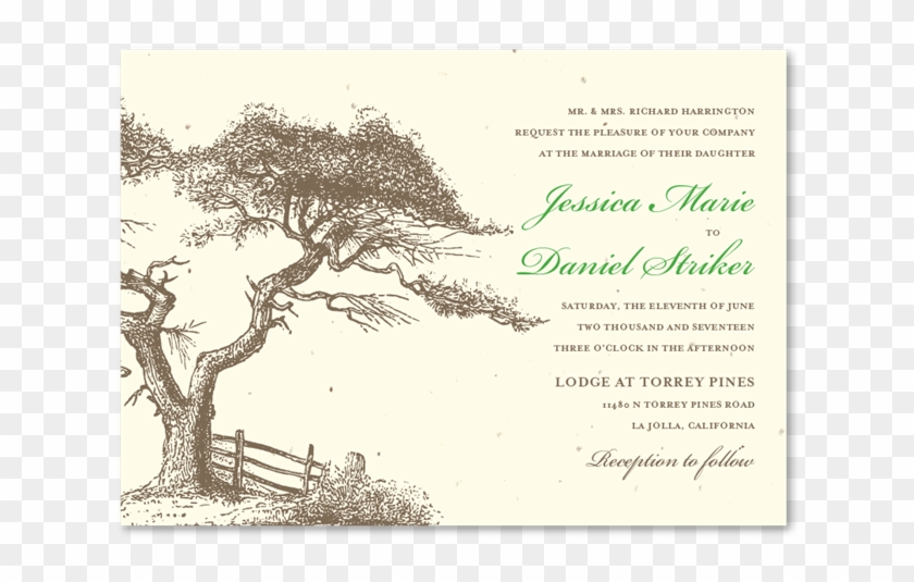 Torrey Pines Wedding Invitations - Illustration Clipart #1635041