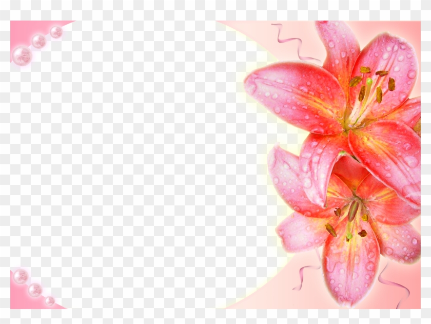 Transparent Wedding Frames Photoshop - Background Wedding Frame Png Clipart