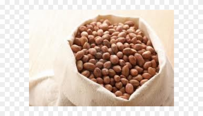 Groundnut Bag Clipart #1635933