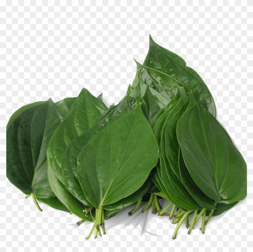 Organic Bitter Leaf - Bitter Leaf In Telugu Clipart #1636237