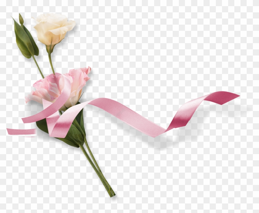 026 Watermarkimage C2h1axlpbl9uzxcucg5ng Center Flower - Garden Roses Clipart #1636287