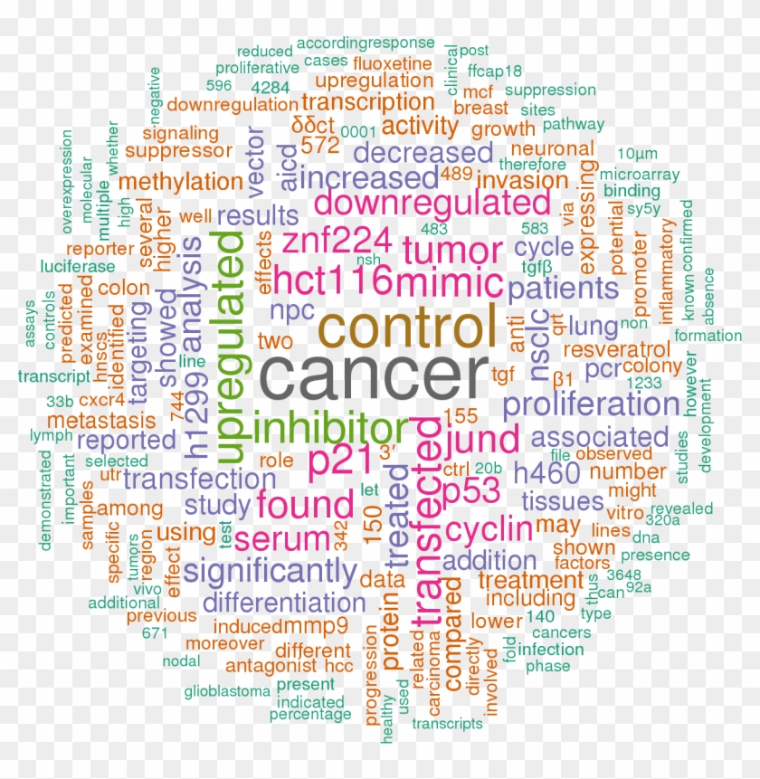 Sort By - Mir 141 Target Clipart