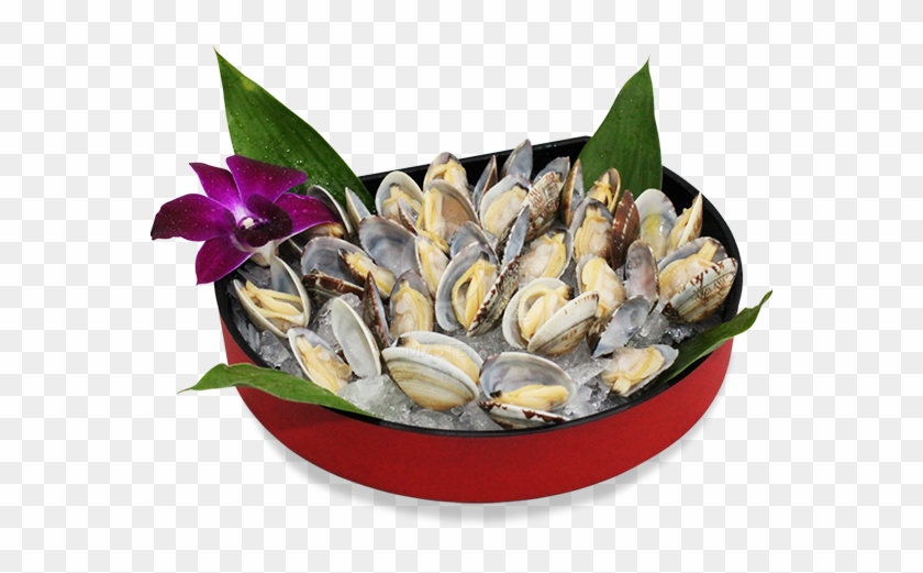 Asari Clam <br> 25pcs / 250g - Mussel Clipart #1638482