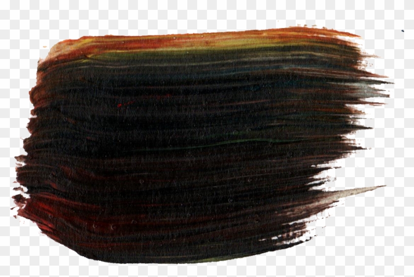 Free Download - Baltic Clam Clipart