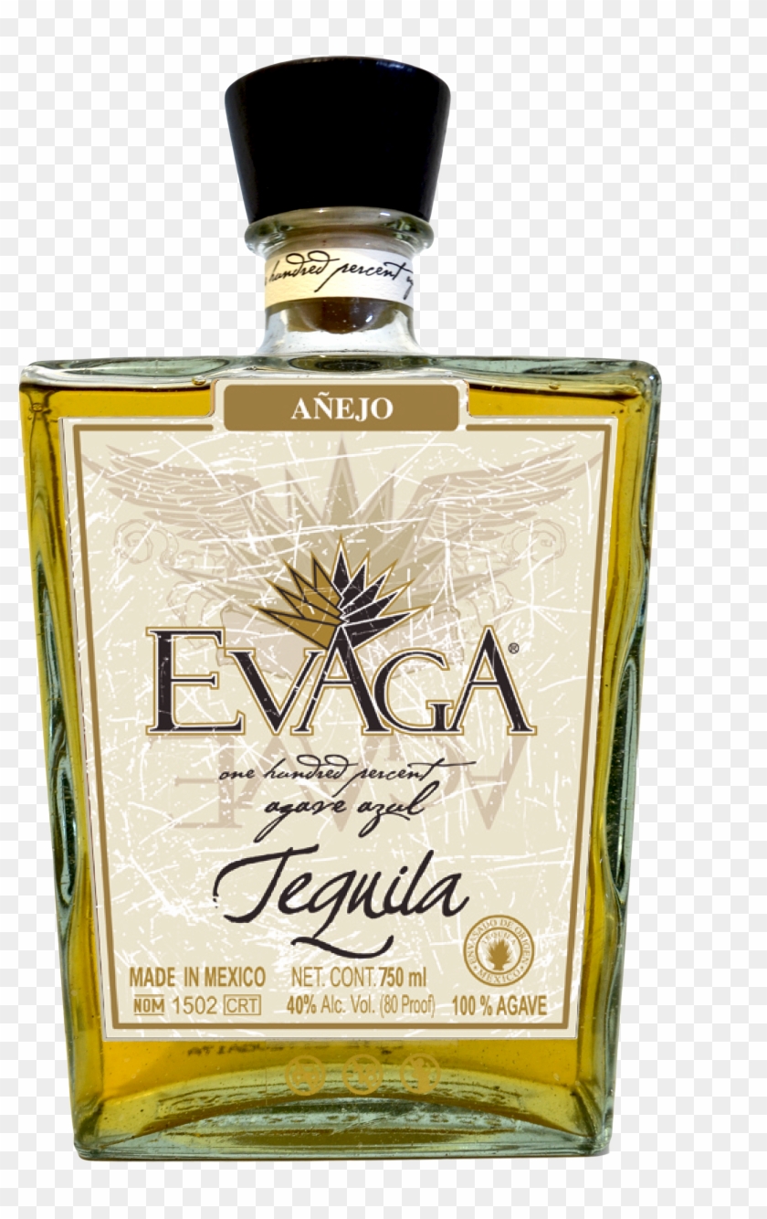 Evaga Tequila Clipart