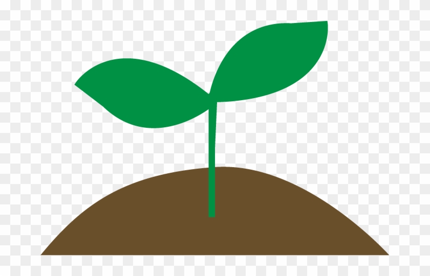 Sprout - Sprout Clip Art - Png Download #1638867