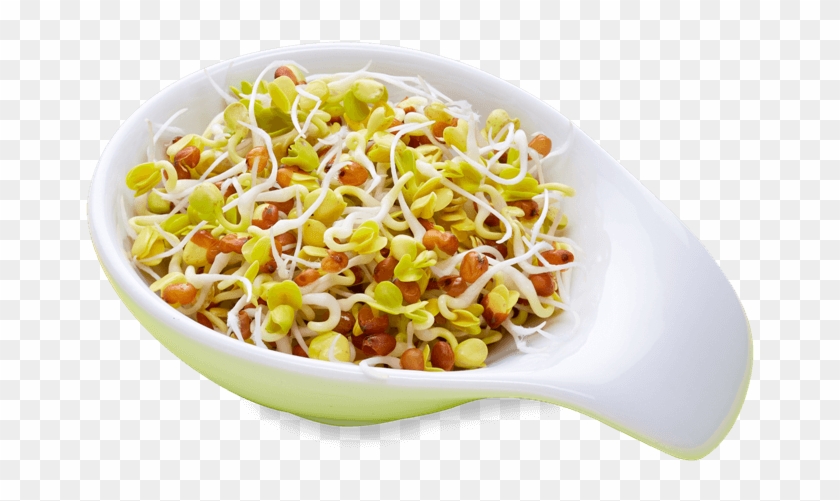 Radieschen - Sprouts Salad Png Clipart #1639019