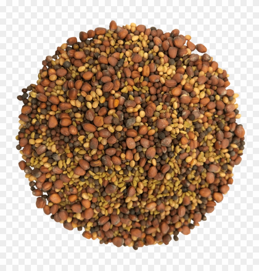 Salad Mix Of Sprouting Seed - Pulse Clipart