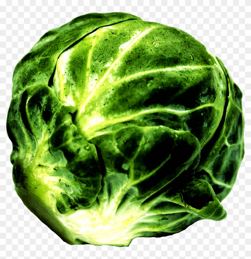 Medium Image - Brussel Sprout Clipart - Png Download