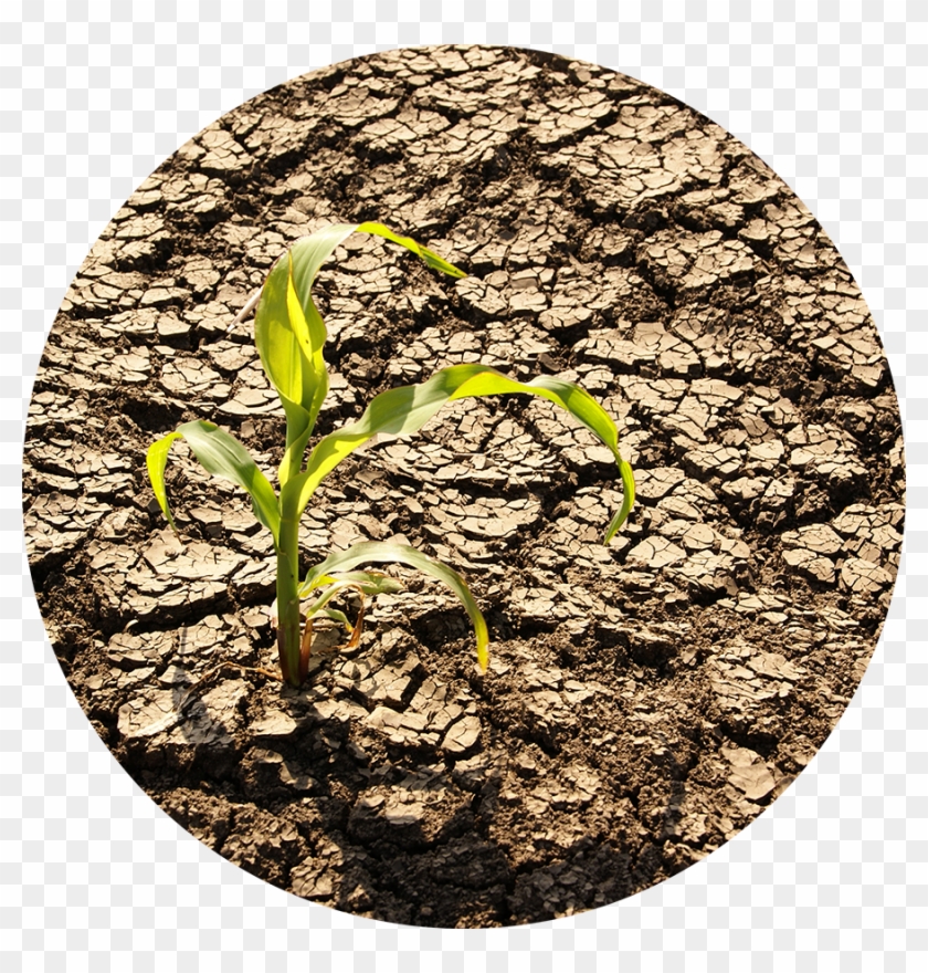 From Implementing Basic Water Use Best Practices To - Drought Clipart